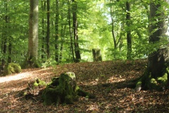 Fliegenstein von Wattenheim