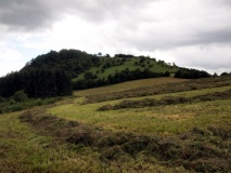 Burgberg Schutz