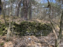 Keltenwall Bad Dürkheim