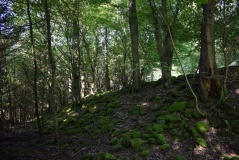 Burgberg Ringwall Kordel