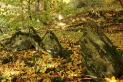 Fell Bergheiligtum (hill sanctuary)