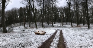 Niederburg Bollendorf