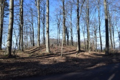 Grabhügelfeld Waldesch
