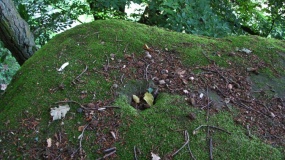 Schweinschied Opferaltar