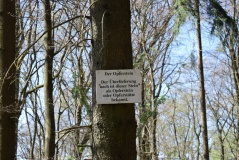 Steineberg Opferstein