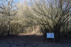 Druidenstein Moselkern