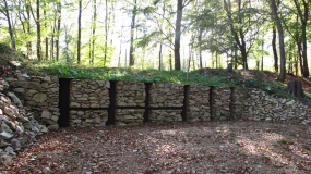 Donnersberg (Dannenfels)