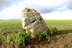 Einselthum Lange Stein