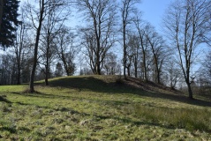 Franzensknueppchen