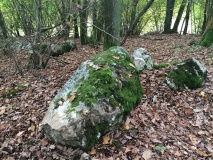 Menhir Schönberg 2