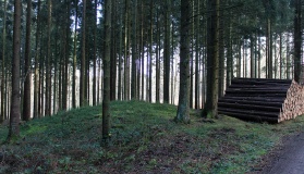 Kühonner Hügelgräberfeld