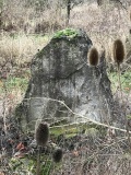 Wackernheim Menhir