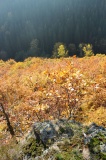Fell Bergheiligtum (hill sanctuary)