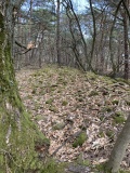 Keltenwall Bad Dürkheim