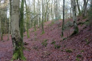 Click for full size image of Schankweiler Wikingerburg (PID:116146) Schankweiler Wikingerburg