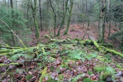 Click for full size image of Schankweiler Wikingerburg (PID:116149) Schankweiler Wikingerburg