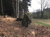 Hünenstein Betteldorf