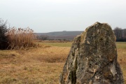 Click for full size image of Laubenheimer Stein (PID:101578) Laubenheimer Stein