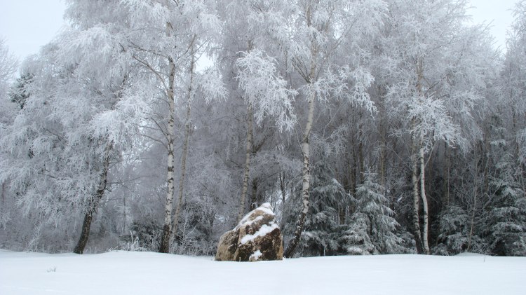 Click for full size image of Menhir am Archäologiepark Belginum (PID:71878) Menhir am Archäologiepark Belginum