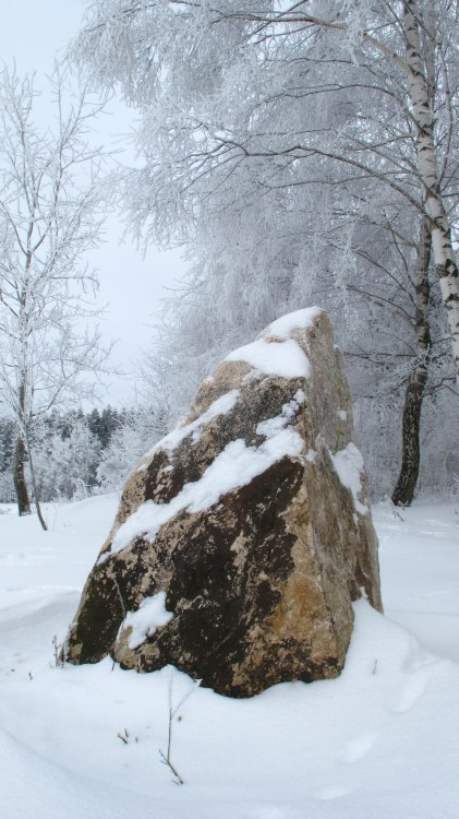 Menhir am Archäologiepark Belginum (PID:71880) Menhir am Archäologiepark Belginum