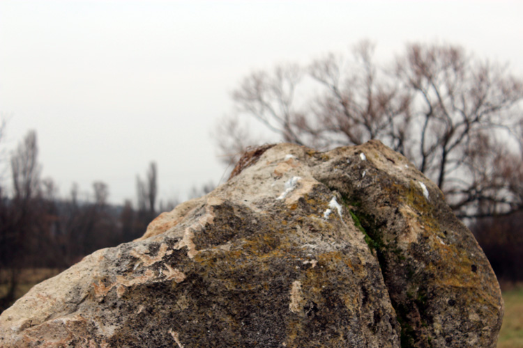 Click for full size image of Laubenheimer Stein (PID:101579) Laubenheimer Stein