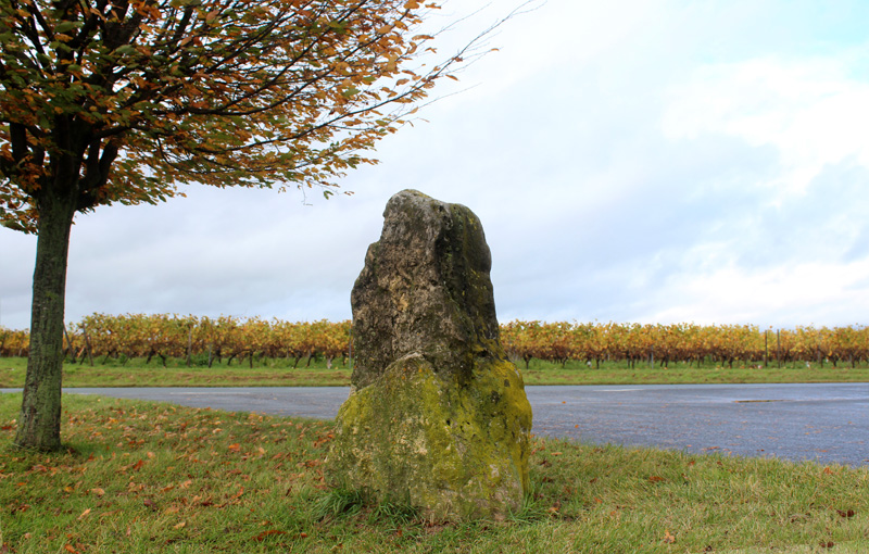 Click for full size image of Der Lange Stein Nackenheim (PID:115142) Der Lange Stein Nackenheim