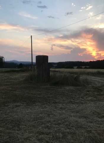 Strasse der Skulpturen