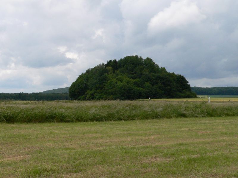 Tholey Fuchshuebel