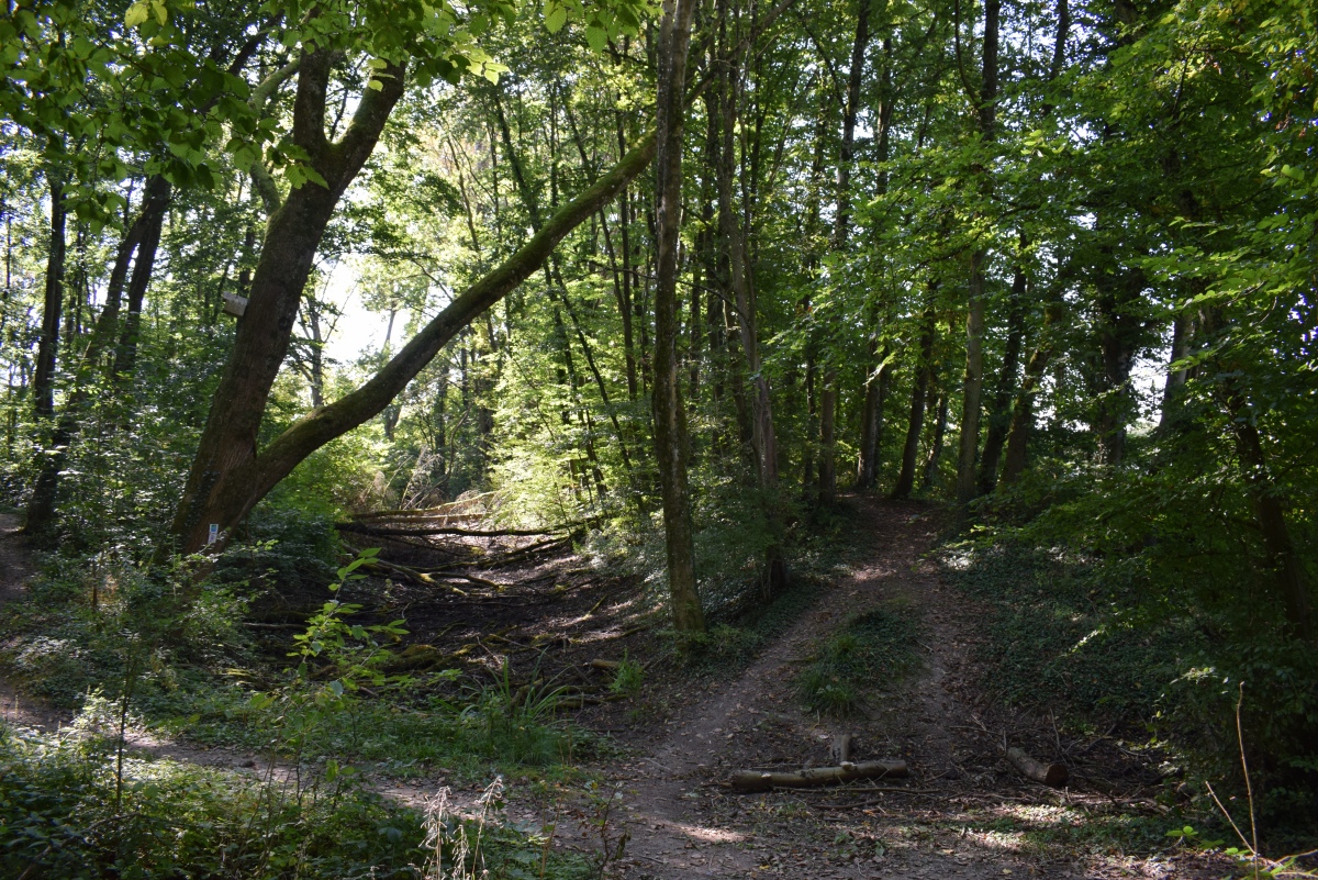 Click for the gallery page to add comments and vote (PID:277583) Hunnenschanze Borg