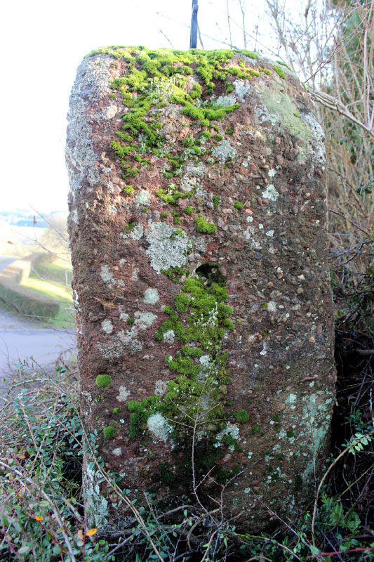 Oberlöstern Menhir
