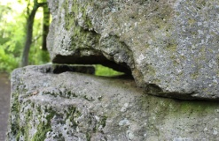 Storchenstein
