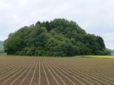Tholey Fuchshuebel - PID:121116