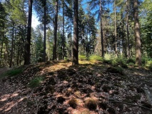 Huegelgraeber am Verlorenen Feld