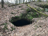 Wendalinushöhle