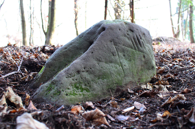 Weiherdamm Naepfchenstein