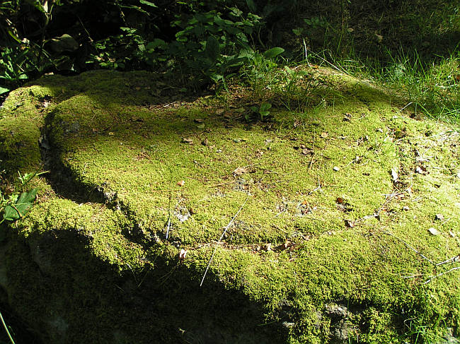 Thümmlitzwald Mühlstein