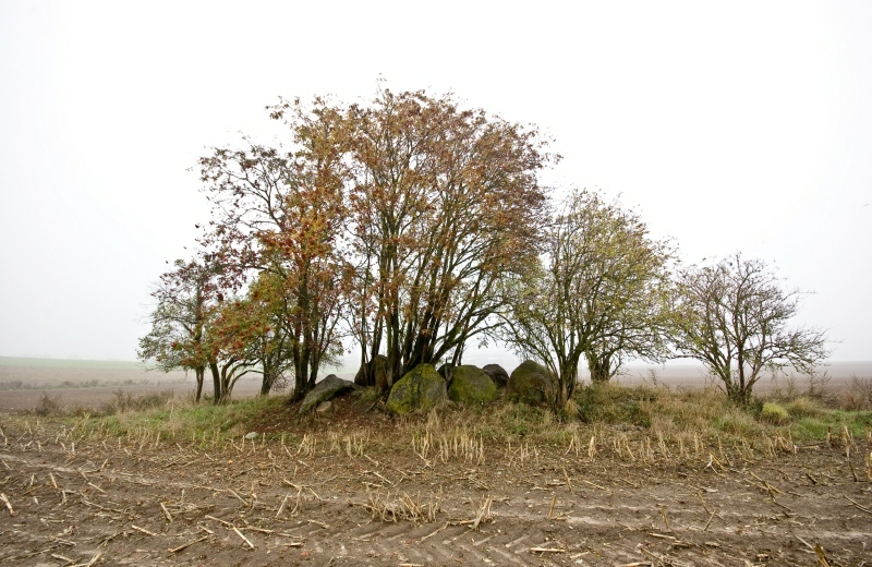 Click for full size image of Schadewohl Steingrab 3 (PID:51669) Schadewohl Steingrab 3