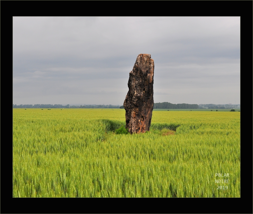 Click for full size image of Menhir von Benzingerode (PID:198473) Menhir von Benzingerode