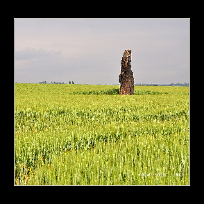 Click for full size image of Menhir von Benzingerode (PID:206102) Menhir von Benzingerode