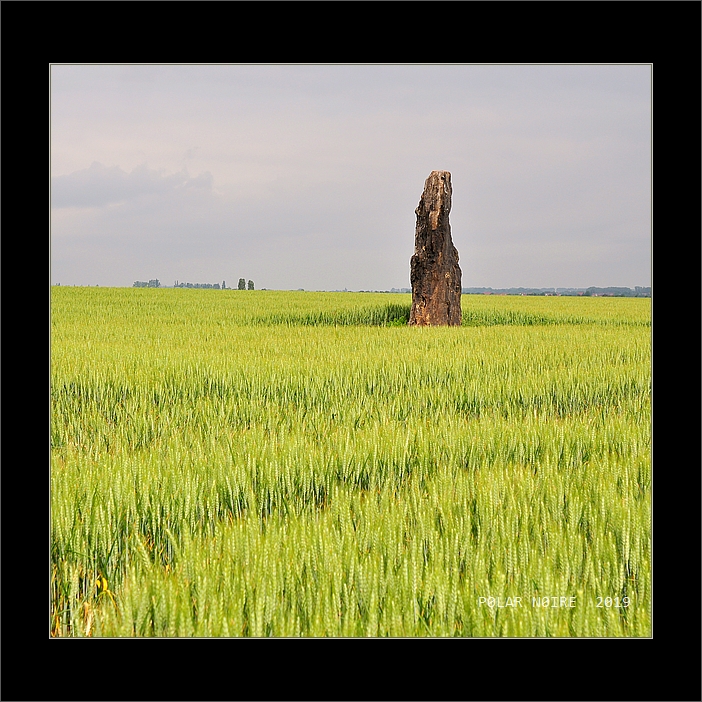 Menhir von Benzingerode