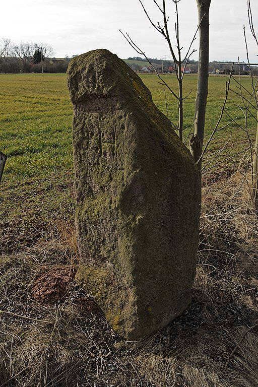 Hoher Stein Berga