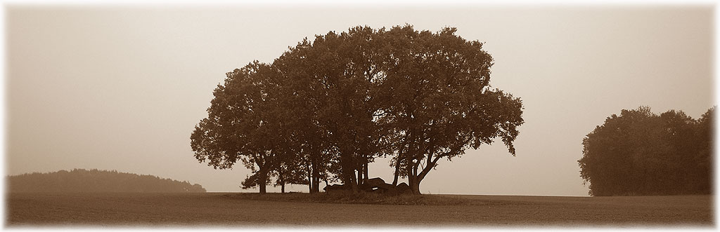 Click for the gallery page to add comments and vote (PID:52848) Bornsen Steingrab 1