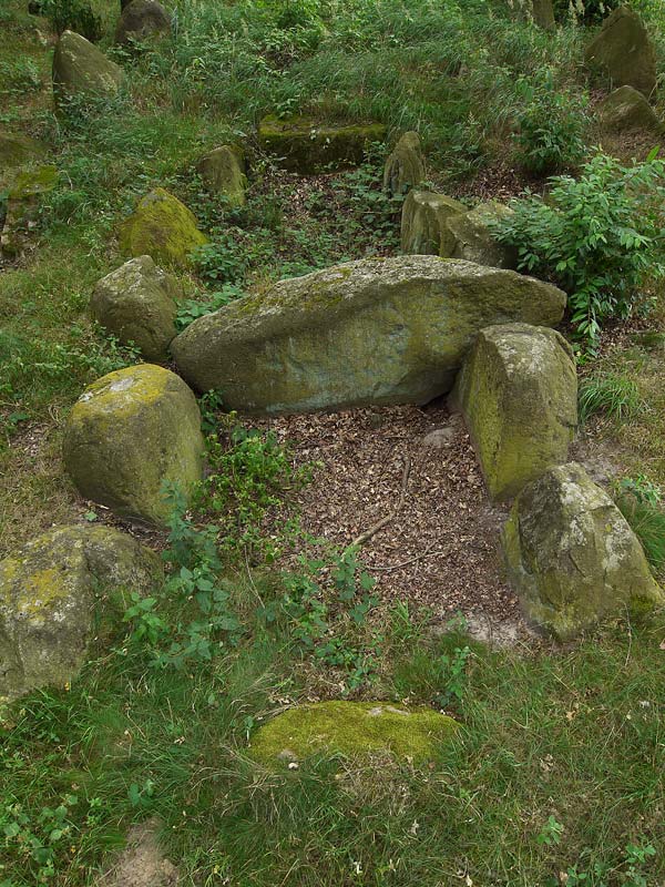 Long Barrow with Chambered Tomb in Saxony-Anhalt

A 32 x 7m rectangle shaped Long Barrow.
32 of the kerbstones are still there, most of them
fallen and out of place.
In the east, there are two pretty big flat stones;
most likely former capstones of the tomb.
One of them has about 27 cupmarks.
The tomb in the middle of the barrow has been
set up with five orthostats on each long side.
Cha