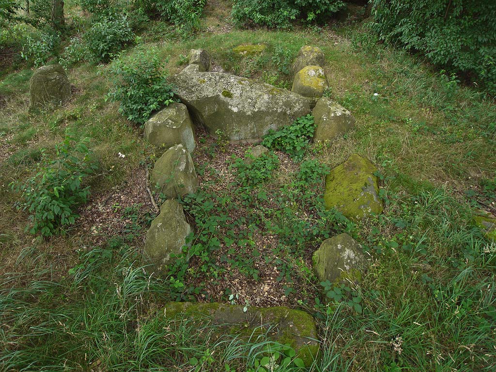 Long Barrow with Chambered Tomb in Saxony-Anhalt

A 32 x 7m rectangle shaped Long Barrow.
32 of the kerbstones are still there, most of them
fallen and out of place.
In the east, there are two pretty big flat stones;
most likely former capstones of the tomb.
One of them has about 27 cupmarks.
The tomb in the middle of the barrow has been
set up with five orthostats on each long side.
Cha