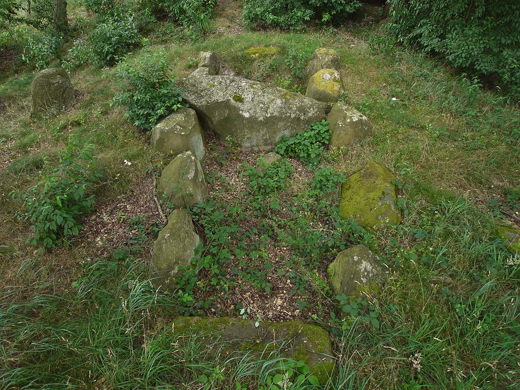 Long Barrow with Chambered Tomb in Saxony-Anhalt

A 32 x 7m rectangle shaped Long Barrow.
32 of the kerbstones are still there, most of them
fallen and out of place.
In the east, there are two pretty big flat stones;
most likely former capstones of the tomb.
One of them has about 27 cupmarks.
The tomb in the middle of the barrow has been
set up with five orthostats on each long side.
Cha