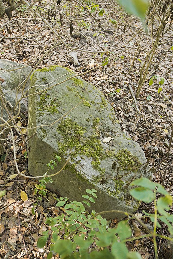 Droyßiger Tempelwall (PID:185646) Droyßiger Tempelwall