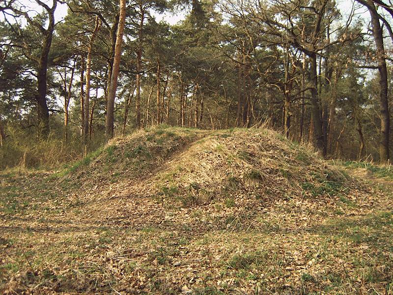Langer Berg Hügelgrab (1)