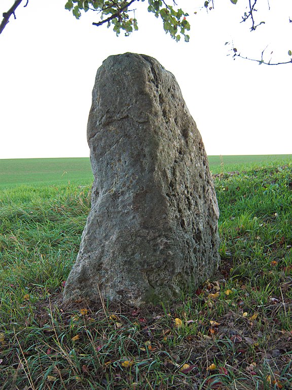 Click for full size image of Magdstein (PID:139252) Magdstein