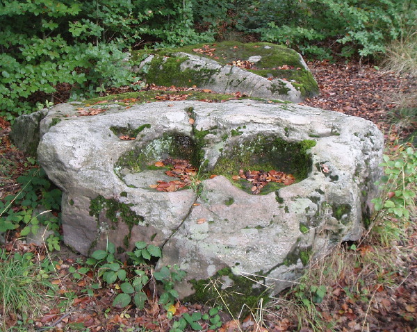 Marienborn Opferstein, in Sachsen-Anhalt. 3 stones of this unrestored Alee Couverte are isible. Little research was done here on account of the proximity to the former Iron Curtain located just to the west. There are further tumuli to the south east, which are also not excavated.
This stone is unusual on account of the 2 bucket sized indentations, which led the stone to be named 