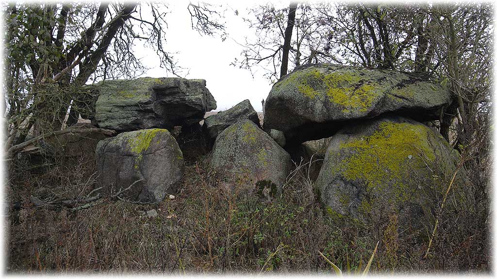 Click for the gallery page to add comments and vote (PID:51594) Schadewohl Steingrab 2